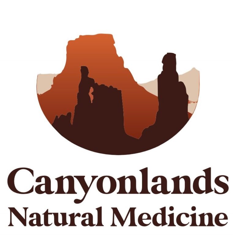 CNM Logo Gradient 1 2 768x768